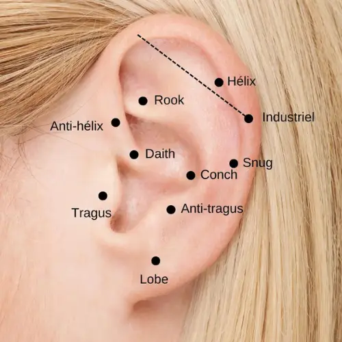 Combien coûte un piercing à l'oreille ? Guide des prix