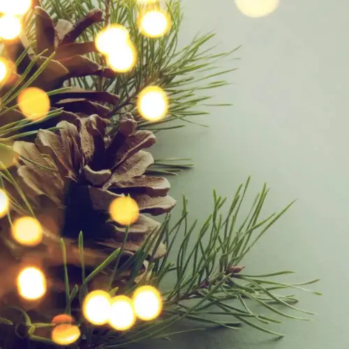 Choisir le Bijou Parfait pour Noël : Idées et Conseils boucle, piercing, collier